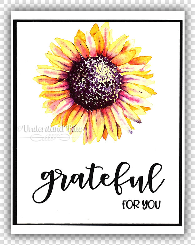 No Line Watercolor Of A Sunflower By Understand Blue   Black eyed Susan  HD Png DownloadTransparent PNG