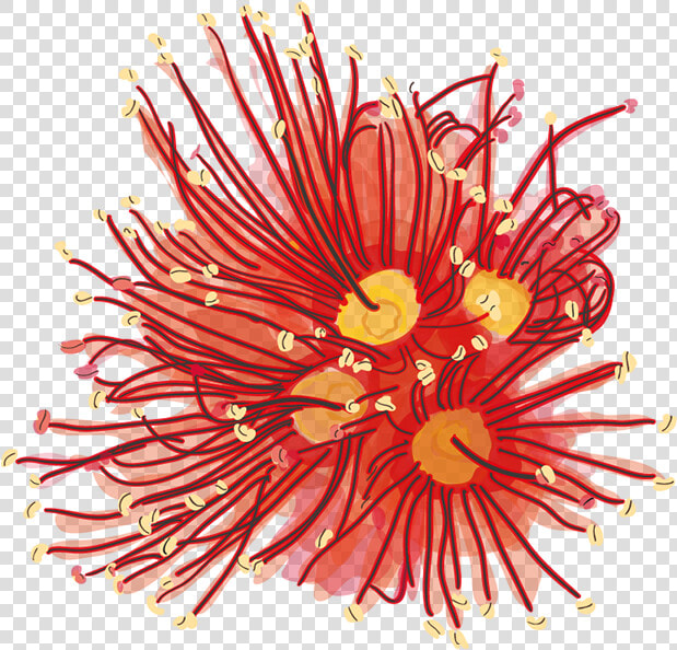 Rata Flower Png  Transparent PngTransparent PNG