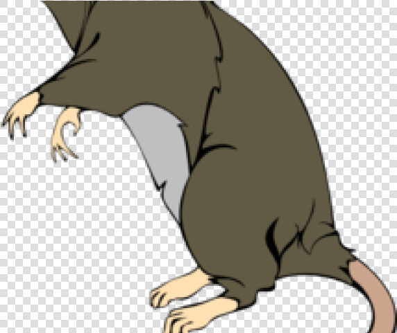 Rat Clipart Greedy   Rat Png Clipart  Transparent PngTransparent PNG