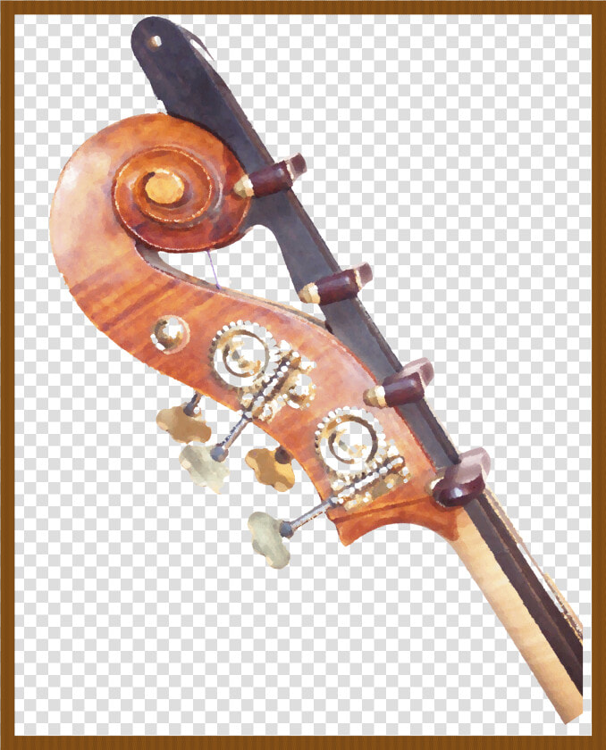 Mark Stefaniw   Viola  HD Png DownloadTransparent PNG