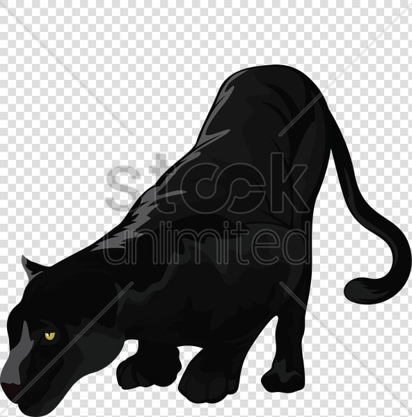 Black Panther Clipart Black Panther Black Cat   Illustration  HD Png DownloadTransparent PNG