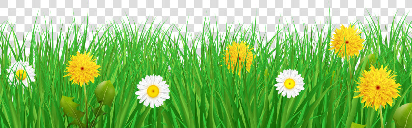 Transparent Grass Border Clipart   Background Grass Flowers Png  Png DownloadTransparent PNG