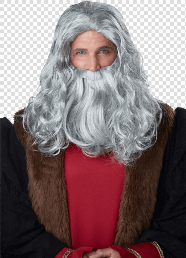 Renaissance Man Wig And Beard   Leonardo Da Vinci Beard  HD Png DownloadTransparent PNG