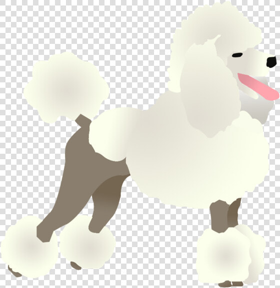 Standard Poodle   Png Download   Standard Poodle  Transparent PngTransparent PNG