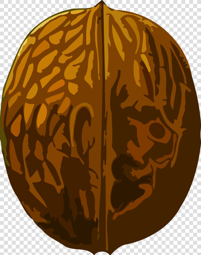 Walnut Clip Arts   Walnut Clipart  HD Png DownloadTransparent PNG