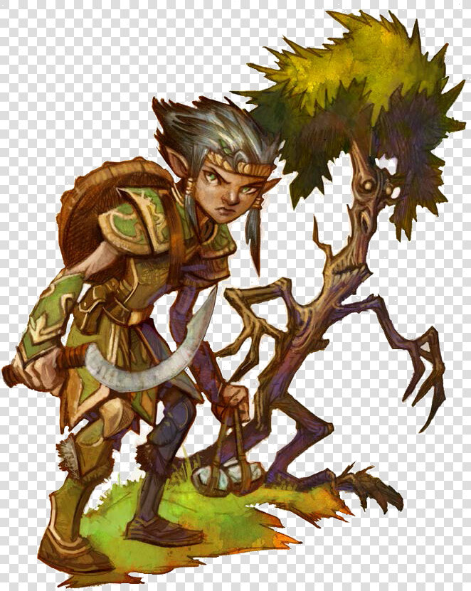 Gnome Druid  HD Png DownloadTransparent PNG