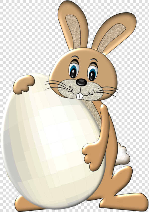 Easter Bunny Clipart Conejo   Conejo De Pascua Png  Transparent PngTransparent PNG