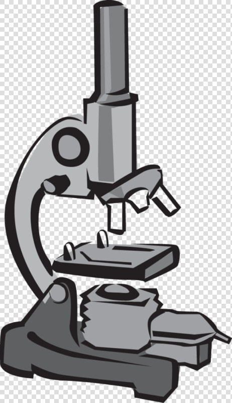 Microscope Clipart Black And   Microscope Clipart  HD Png DownloadTransparent PNG