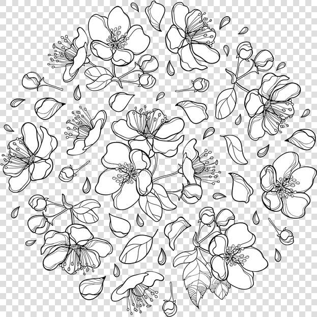  blossom  appleblossom  flower  overlay  lineart  line   Line Art  HD Png DownloadTransparent PNG