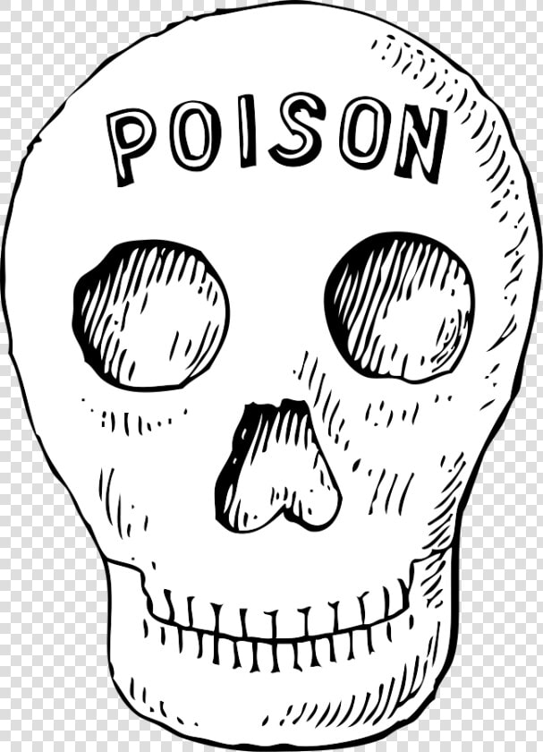 Poison Skull Svg Clip Arts   Poison Skull Clipart  HD Png DownloadTransparent PNG