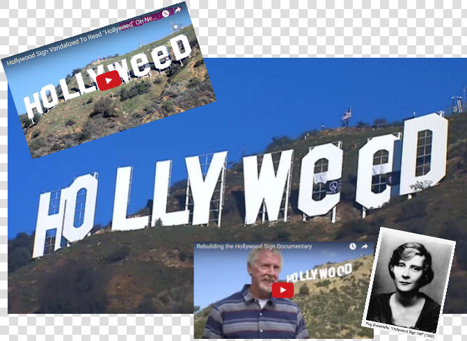 Transparent Hollywood Sign Png   Hollywood Sign  Png DownloadTransparent PNG