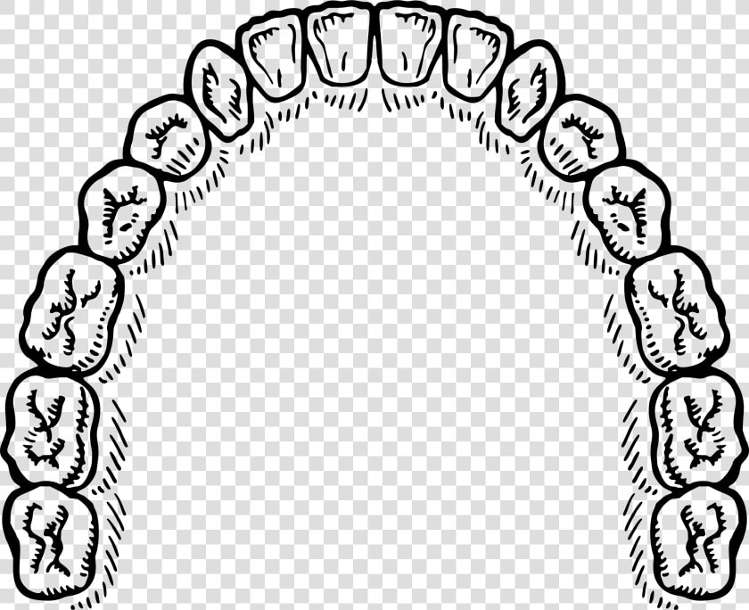 Mouth Of Teeth Vector Clipart Image   Mouth Of Teeth Vector  HD Png DownloadTransparent PNG