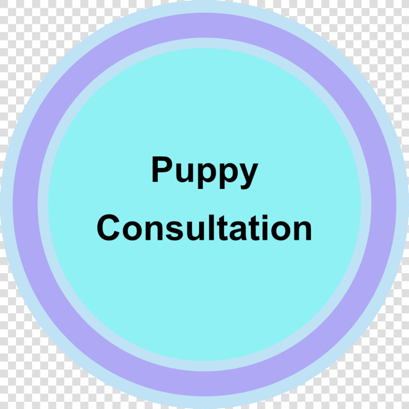 Puppy consultation   Consultation Room  HD Png DownloadTransparent PNG