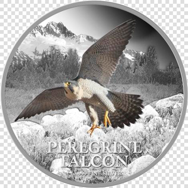 Niue 2013 2  Peregrine Falcon Birds Of Prey Proof Silver   Silver  HD Png DownloadTransparent PNG