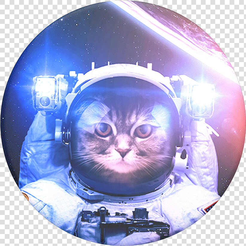 Cat In Space Popsocket   Png Download   Catstronaut Popsocket  Transparent PngTransparent PNG