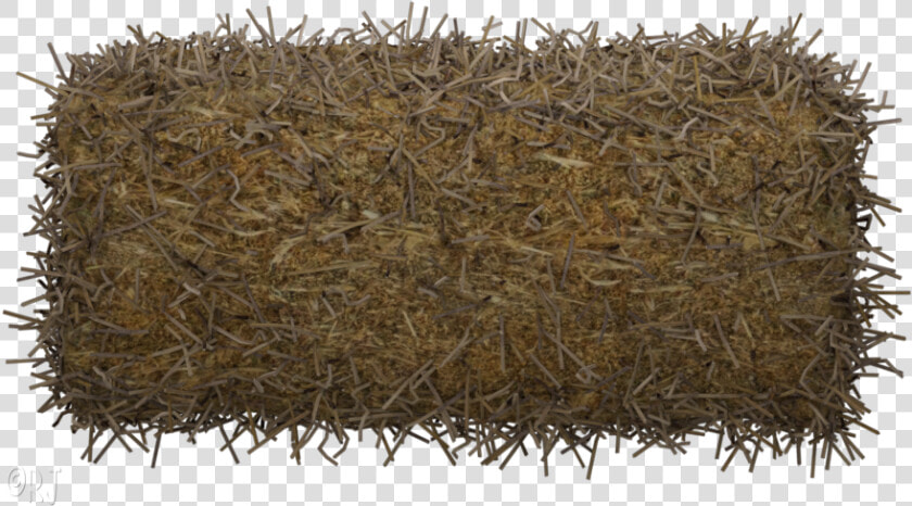 Harvest Hay Bales  HD Png DownloadTransparent PNG