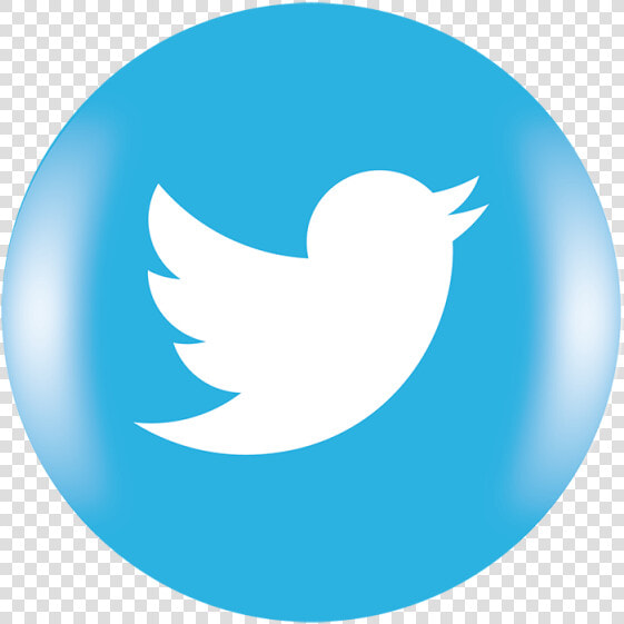 Twitter Icon Logo  Social  Media  Icon Png And Vector   Twitter Logo Png Square  Transparent PngTransparent PNG