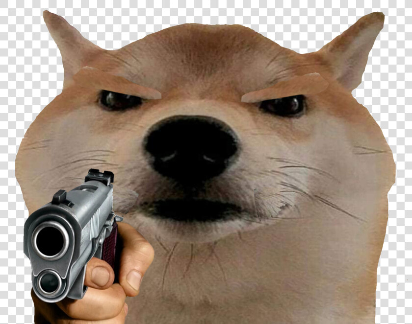 Shiba Inu Vertebrate Mammal Canidae Dog Head Snout   Doge With Gun  HD Png DownloadTransparent PNG