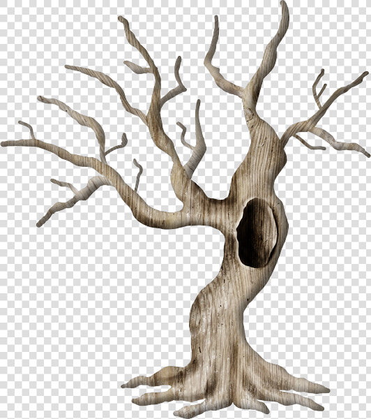 Tube Arbre png   Tree  Transparent PngTransparent PNG