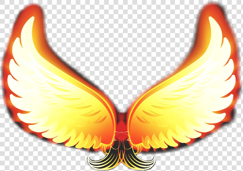  freetoedit  wings  fire  firewings   Emblem  HD Png DownloadTransparent PNG