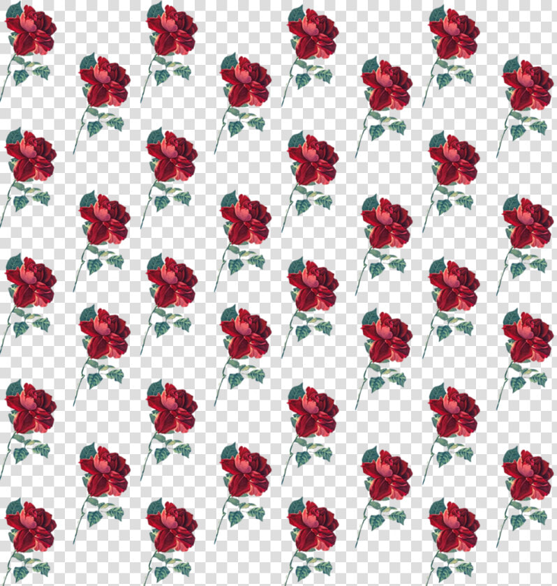  rose  pattern  flower  background  cute  freetoedit   Hybrid Tea Rose  HD Png DownloadTransparent PNG