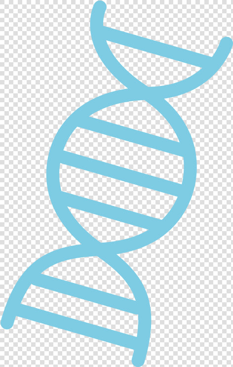 Logo Sequencing Dna Clipart   Png Download   Illustration  Transparent PngTransparent PNG