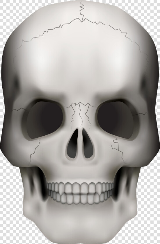 Transparent Transparent Background Skull Png   Png   Transparent Background Skull Clipart  Png DownloadTransparent PNG