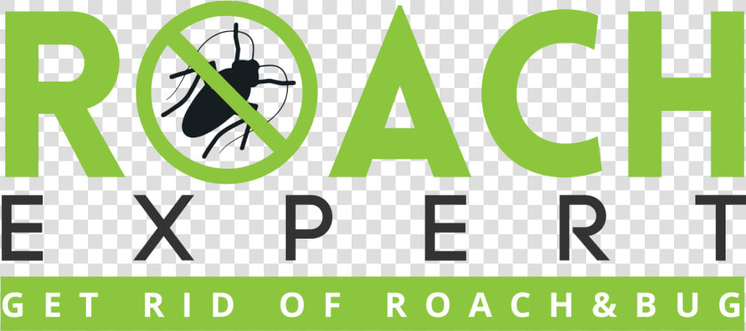 Roach Expert Logo   Graphic Design  HD Png DownloadTransparent PNG