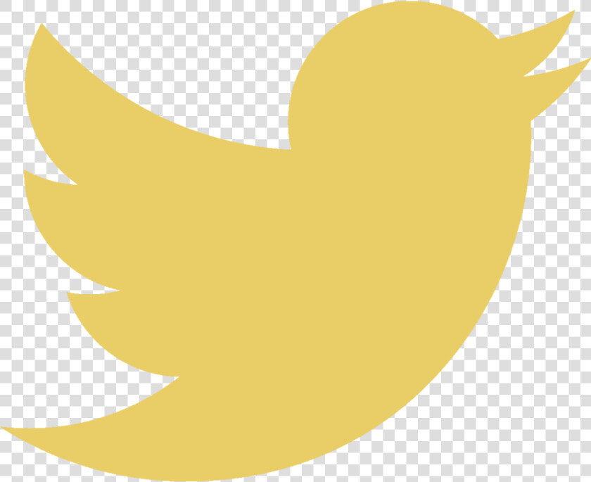 Transparent White Bird Twitter   Png Download   Logo Twitter Gris Png  Png DownloadTransparent PNG