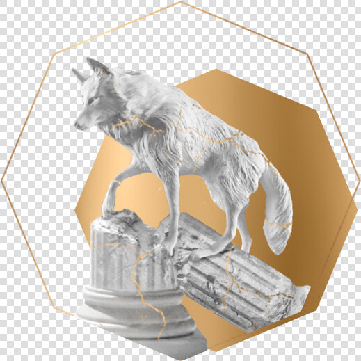 Canis Lupus Tundrarum  HD Png DownloadTransparent PNG