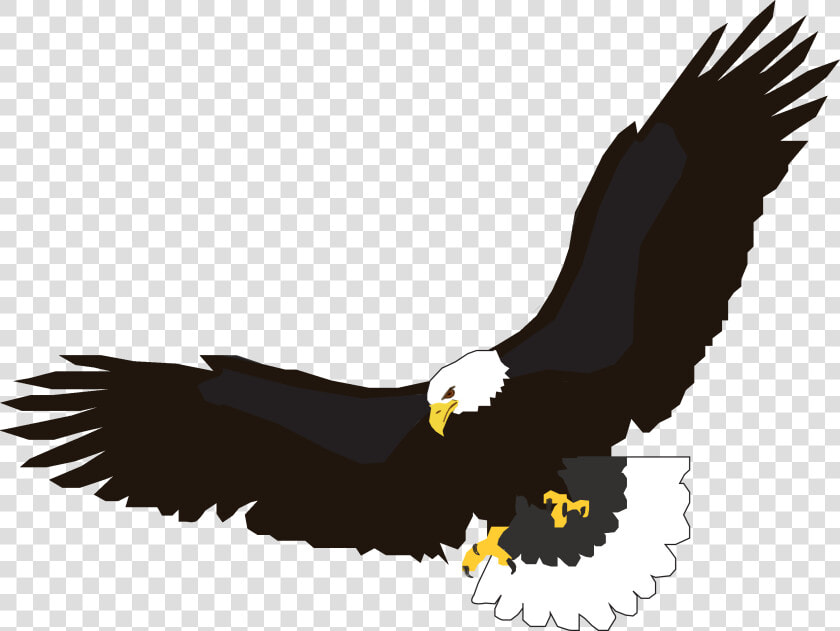 Soaring Eagle Png Black And White   Eagle Clipart Png  Transparent PngTransparent PNG