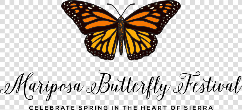 Mariposa   Mariposa Butterfly  HD Png DownloadTransparent PNG