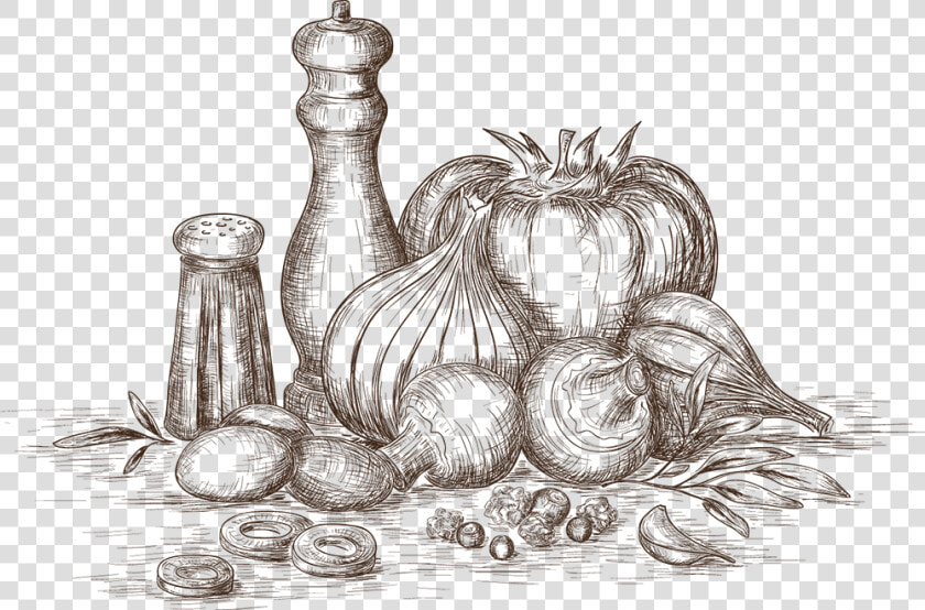 Sketch   Png Download   Spices  amp  Herbs Sketch Png  Transparent PngTransparent PNG