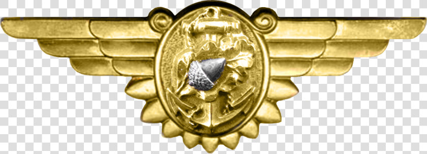 Wwii Naval Flight Nurse Insignia   Ww2 Badge Png  Transparent PngTransparent PNG