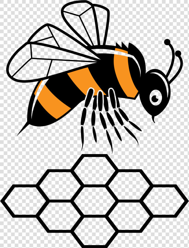 Clipart Bee Butterfly   รูป ผึ้ง ลาย เส้น  HD Png DownloadTransparent PNG