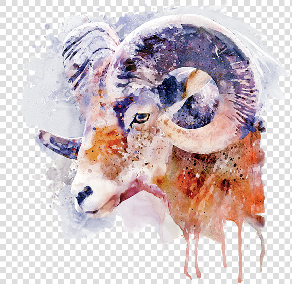 Bighorn Sheep Art  HD Png DownloadTransparent PNG