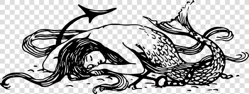 Sleeping Mermaid Clip Arts   Black And White Mermaid Png  Transparent PngTransparent PNG