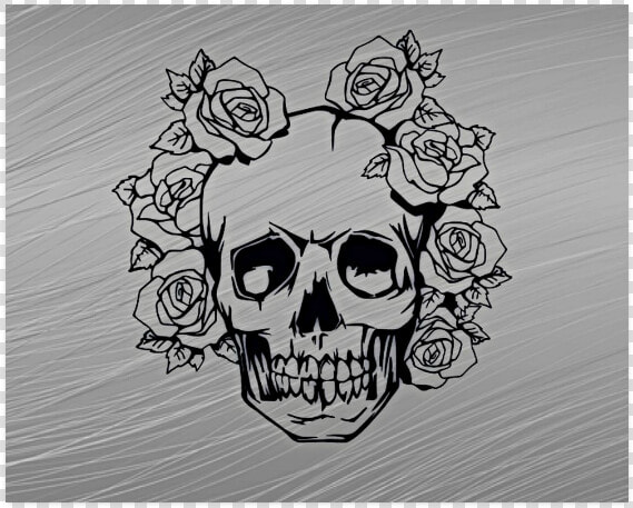 Skull With Roses Poster 20 X16   Disegni Facili Da Disegnare  HD Png DownloadTransparent PNG