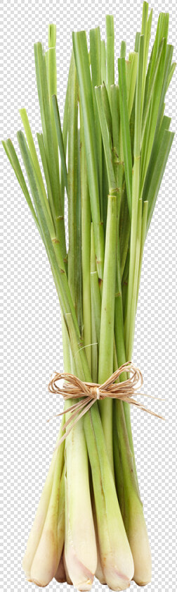 Lemongrass Bunch  HD Png DownloadTransparent PNG