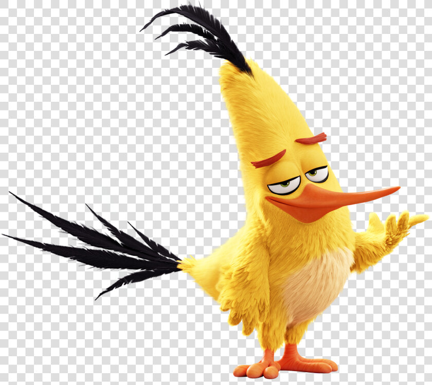 The Angry Birds Movie   Chuck From Angry Birds  HD Png DownloadTransparent PNG