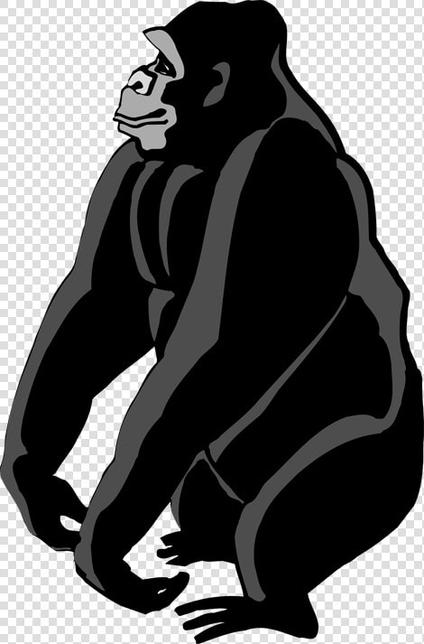 28 Collection Of Gorilla Clipart Png   Gorilla Clipart Png  Transparent PngTransparent PNG