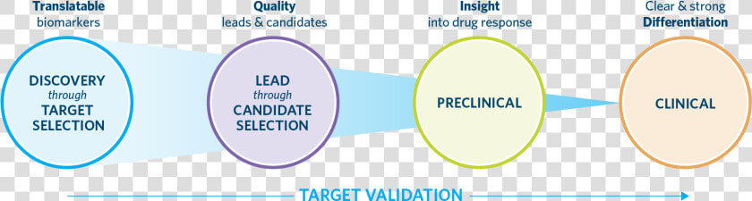 Pharma biotech Drug Continuum Web Graphic Transparent   Circle  HD Png DownloadTransparent PNG