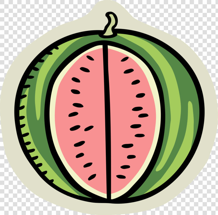 Vector Illustration Of Summer Melon Watermelon Edible   Watermelon  HD Png DownloadTransparent PNG