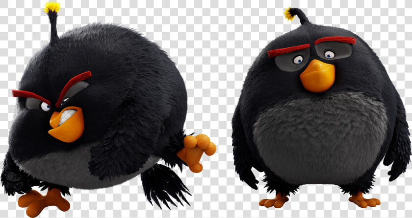 Angry Birds Wiki   Angry Birds Black Bomb  HD Png DownloadTransparent PNG