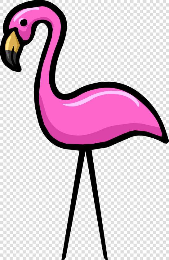 Pink Flamingo Png   Transparent Background Flamingo Transparent  Png DownloadTransparent PNG