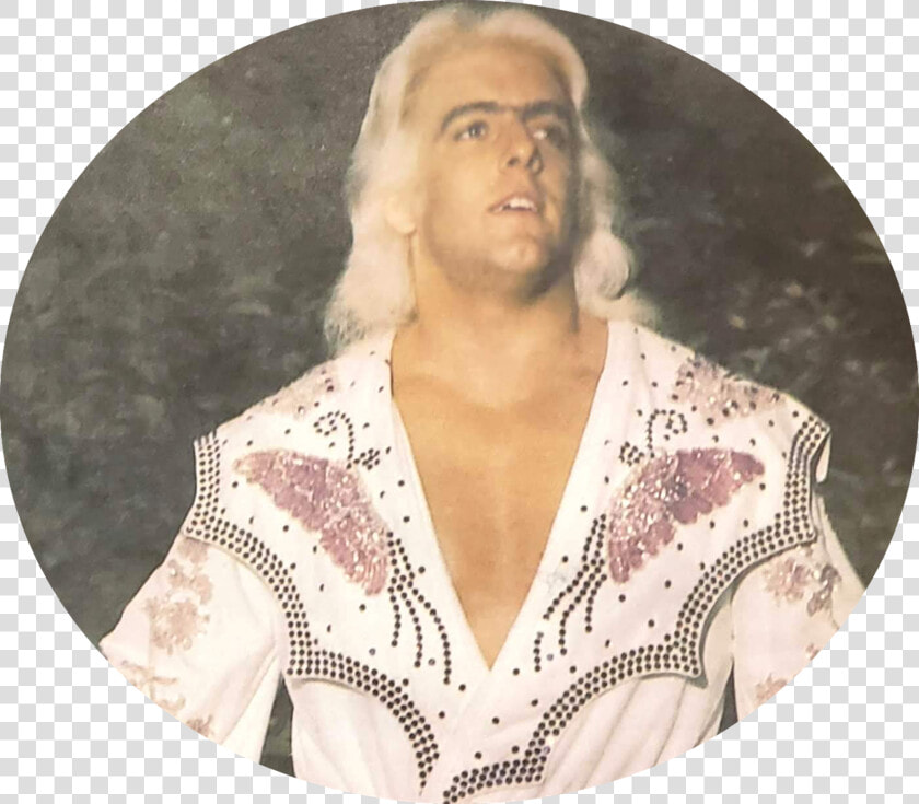 Transparent Ric Flair Png   Ric Flair  Png DownloadTransparent PNG