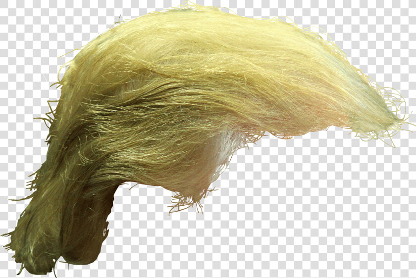 Donald Trump Frisur Transparent  HD Png DownloadTransparent PNG