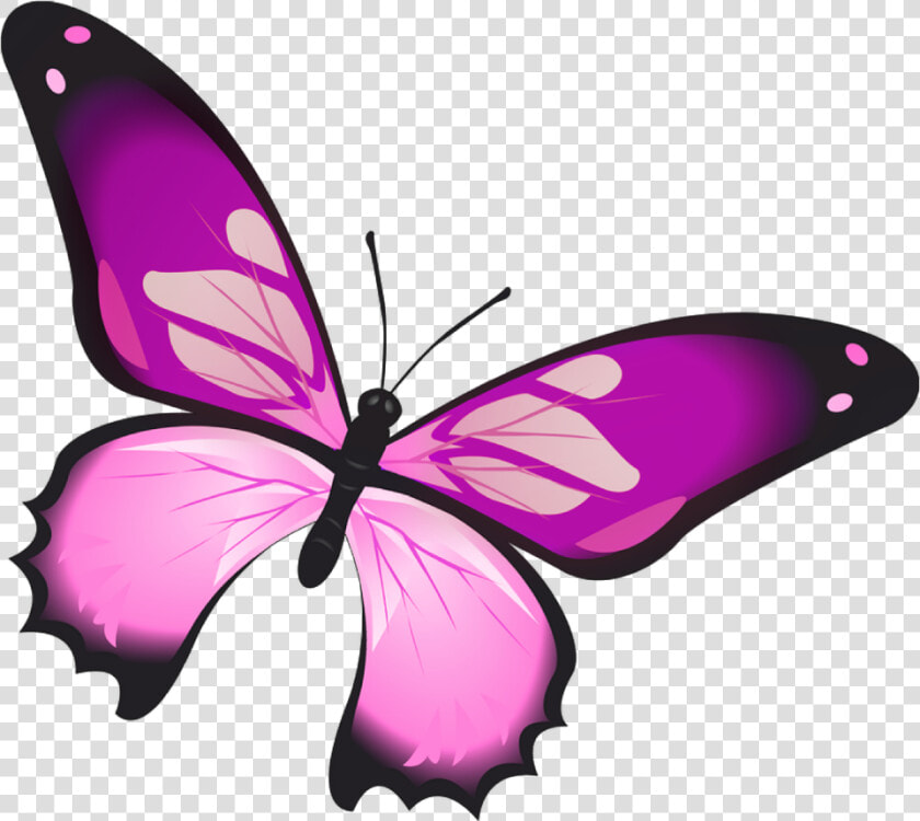  butterfly  mariposa  diurna  day  diurnal  spring   Mariposa Rosada Png  Transparent PngTransparent PNG