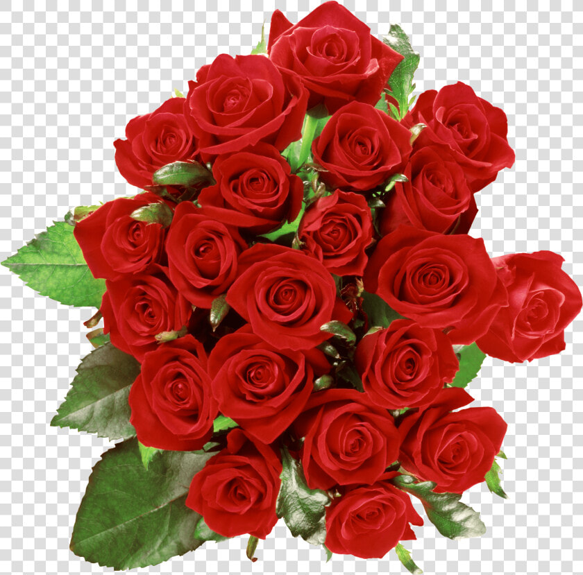 Rose Bouquet Png Picture   Розы Красные Png  Transparent PngTransparent PNG