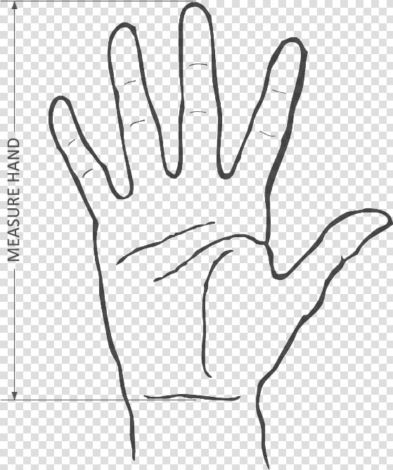 Hand Creases  HD Png DownloadTransparent PNG